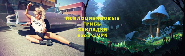 Альфа ПВП Корсаков