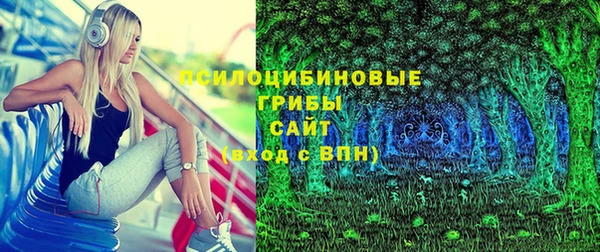 Альфа ПВП Корсаков