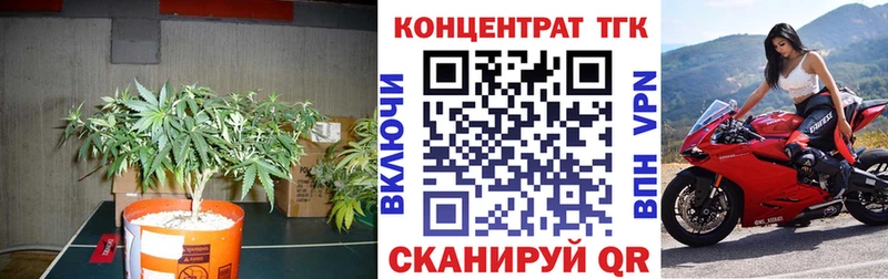 Купить закладки  Нарьян-Мар  ТГК вейп с тгк 