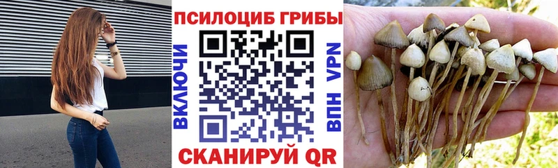 Купить закладки  Нарьян-Мар  Псилоцибиновые грибы ЛСД 